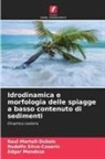 Raul Martell-Dubois, Edgar Mendoza, Rodolfo Silva-Casarín - Idrodinamica e morfologia delle spiagge a basso contenuto di sedimenti