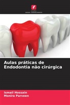 Ismail Hossain, Monira Parveen - Aulas práticas de Endodontia não cirúrgica
