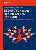 Annette Fichtner, Christian Meskó, Helmut Obst - Praxishandbuch Medien an den Rändern