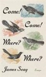 James Seay - Come! Come! Where? Where?