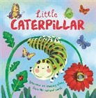 Autumn Publishing - Little Caterpillar