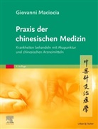 Giovanni Maciocia - Praxis der chinesischen Medizin