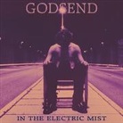 In The Electric Mist (Hörbuch)