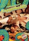 Suzane Nguyen - Copperheads