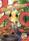 Suzane Nguyen - King Cobras