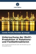 Camila Pacelly Brandão de Araújo - Untersuchung der Mo2C-Produktion in Rotations- und Festbettreaktoren