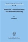 Birgit Friese - Kollektive Koalitionsfreiheit und Betriebsverfassung.