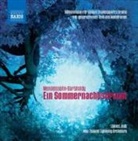 Felix Mendelssohn Bartholdy - Ein Sommernachtstraum, 1 Audio-CD (Livre audio)