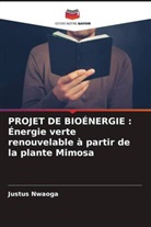 Justus Nwaoga - PROJET DE BIOÉNERGIE : Énergie verte renouvelable à partir de la plante Mimosa