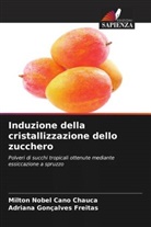 Milton Nobel Cano Chauca, Adriana Gonçalves Freitas - Induzione della cristallizzazione dello zucchero