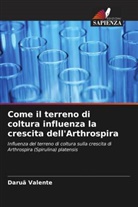 Daruã Valente - Come il terreno di coltura influenza la crescita dell'Arthrospira