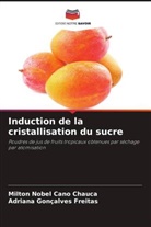 Milton Nobel Cano Chauca, Adriana Gonçalves Freitas - Induction de la cristallisation du sucre