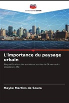 Mayke Martins de Souza - L'importance du paysage urbain