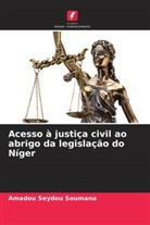Amadou Seydou Soumana - Acesso à justiça civil ao abrigo da legislação do Níger
