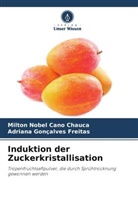 Milton Nobel Cano Chauca, Adria Gonçalves Freitas, Adriana Gonçalves Freitas - Induktion der Zuckerkristallisation