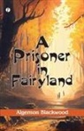 Algernon Blackwood - A Prisoner in Fairyland (The Book That Uncle Paul Wrote)