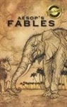 Aesop - Aesop's Fables (Deluxe Library Binding)