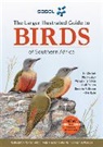 Phil Hockey, Hockey Phil, Niall Perrins, Dominic Rollinson, Ian Sinclair, Ian Hockey Sinclair... - Sasol Birds of Southern Africa