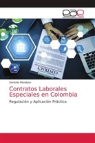 Gerardo Mendoza - Contratos Laborales Especiales en Colombia