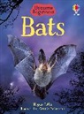 Megan Cullis, Cullis Megan, Sue King, Connie McLennan, McLennan Connie - Bats