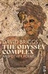 David Briggs, Mr David Briggs - The Odyssey Complex