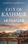 Sameer Hamdani - City of Kashmir