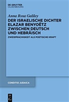 Anna Rosa Galiley - Der israelische Dichter Elazar Benyoëtz zwischen Deutsch und Hebräisch