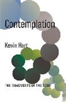 Kevin Hart - Contemplation