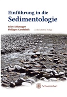 Philippos Garefalakis, Fritz Schlunegger - Einführung in die Sedimentologie