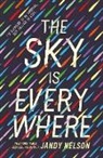 Jandy Nelson, Nelson Jandy - Sky Is Everywhere