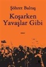 Söhret Baltas - Kosarken Yavaslar Gibi