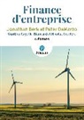 Jonathan Berk, Gunther Capelle-Blancard, Nicolas Couderc, Peter DeMarzo - Finance d'entreprise