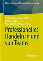 Roland Becker-Lenz, Roland Becker-Lenz u a, Stefan Busse, Gudrun Ehlert, Silke Müller-Hermann - Professionelles Handeln in und von Teams