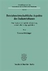 Thomas Brittinger - Betriebswirtschaftliche Aspekte des Industriebaues.