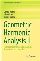 Dorina Mitrea, Irina Mitrea, Marius Mitrea - Geometric Harmonic Analysis II