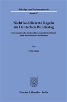 Felix Lücke - Nicht kodifizierte Regeln im Deutschen Bundestag.