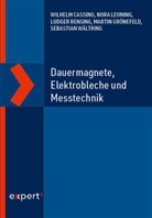Wilhelm Cassing, Martin Grönefeld, Nora Leuning, Ludger Rensing, Ludger u a Rensing, Sebastian Wältring - Dauermagnete, Elektrobleche und Messtechnik