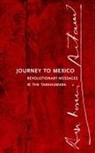 Antonin Artaud, Stuart Kendall - Journey to Mexico