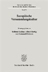 Raimund Dahmen, Hellmut Geißner, Albert Herbig - Europäische Versammlungskultur.