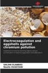 Saliha Elabbas, Naaila Ouazzani - Electrocoagulation and eggshells against chromium pollution