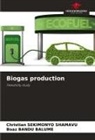 Boaz Bandu Balume, Christian SEKIMONYO SHAMAVU - Biogas production