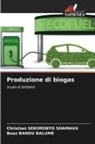 Boaz Bandu Balume, Christian Sekimonyo Shamavu - Produzione di biogas