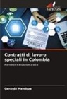 Gerardo Mendoza - Contratti di lavoro speciali in Colombia