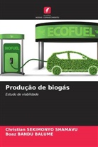 Boaz Bandu Balume, Christian Sekimonyo Shamavu - Produção de biogás