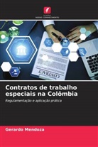 Gerardo Mendoza - Contratos de trabalho especiais na Colômbia