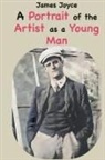 James Joyce - A Portrait of the Artist as a Young Man