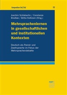 Constanze Bradlaw, Britta Hufeisen, Joachim Schlabach - Mehrsprachenlernen in gesellschaftlichen und institutionellen Kontexten
