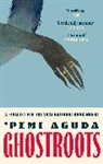 Pemi Aguda, 'Pemi Aguda - Ghostroots