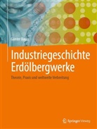 Günter Bauer - Industriegeschichte Erdölbergwerke