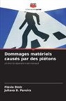 Juliana B. Pereira, Flávio Diniz - Dommages matériels causés par des piétons